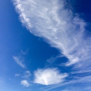 Meet your Posher, Bridget